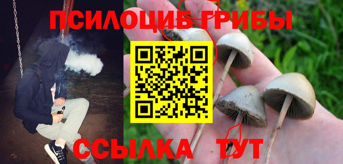 Псилоцибиновые грибы мицелий Дюртюли
